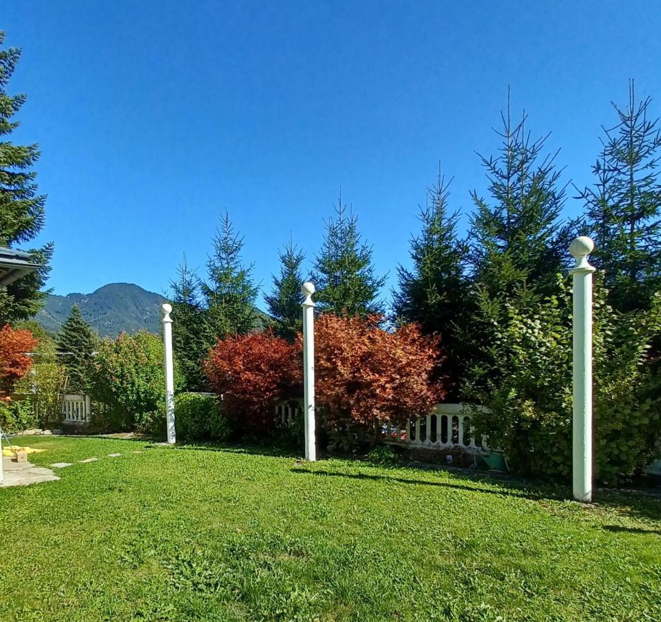 Villa Romy Mit 3 Gaestezimmer 바드이스흘 외부 사진